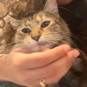 Meet your Posher, Cynthia